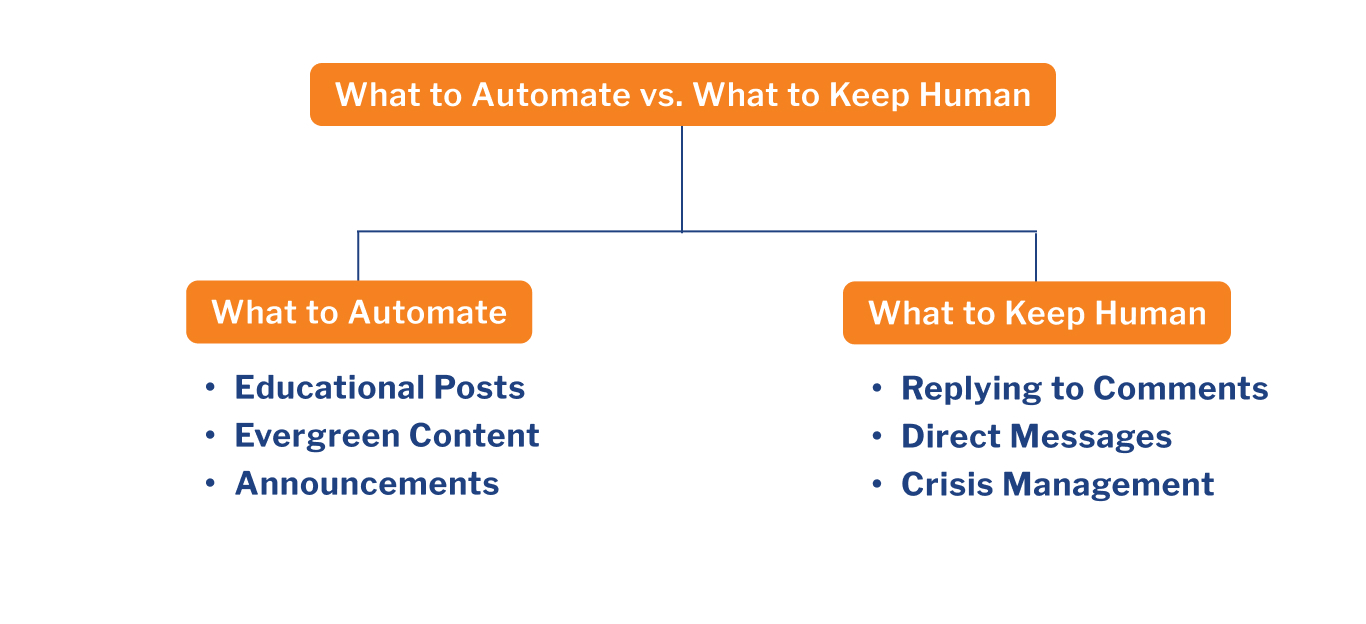 automate vs human
